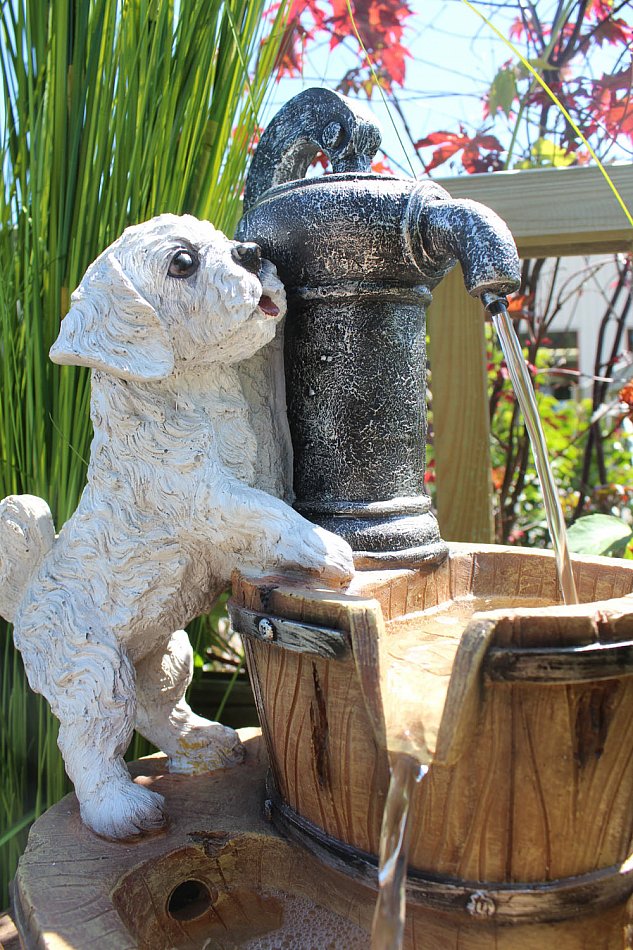 Springbrunnen Hund mit LEDBeleuchtung Zimmerbrunnen Gartenbrunnen