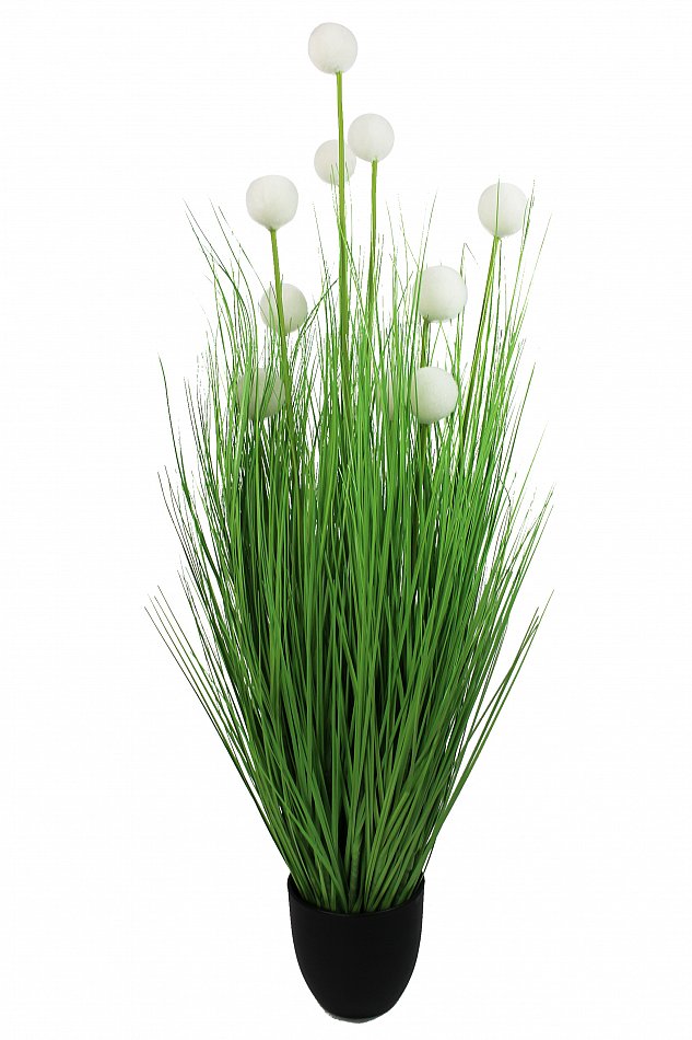 monstera pflanze kaufen XXL Monstera mit Stab bestellen – Green Me Up main image 0