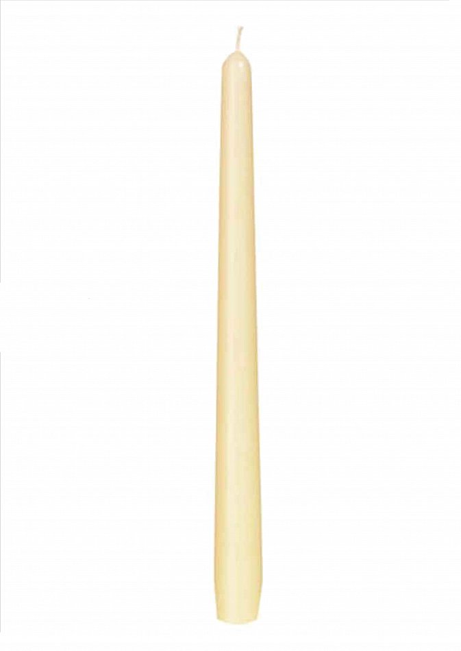 Duni Spitzkerzen Leuchterkerzen 250 x 22 mm kiwi