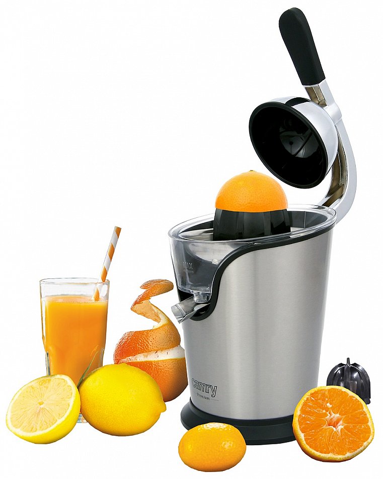 saftpresse elektrisch klein